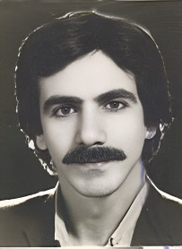 محمود کاشفی