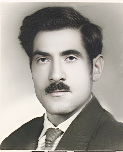 محمود کاشفی