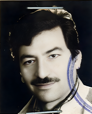 پرویز بیضاوی